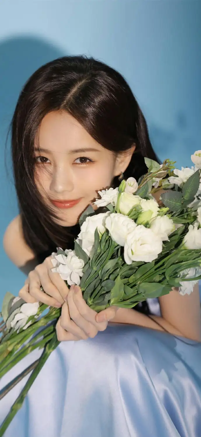 全球盗版软件分布热力图